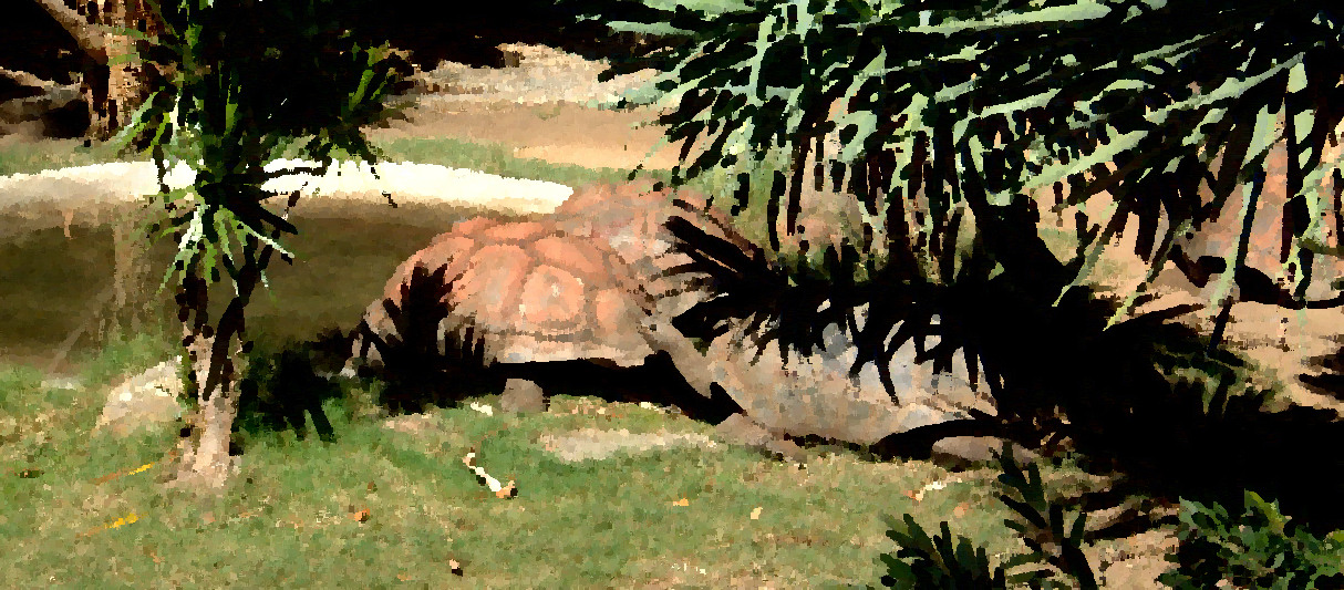 Wild Life Sydney Zoo - Sydney, New South Wales